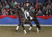 Foto-Archiv