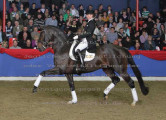Foto-Archiv