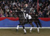 Foto-Archiv