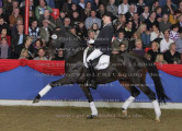 Foto-Archiv