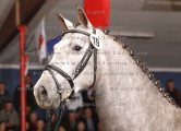 Foto-Archiv