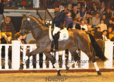Foto-Archiv