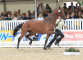 Foto-Archiv