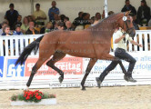 Foto-Archiv