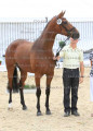 Foto-Archiv