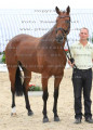 Foto-Archiv