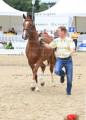 Foto-Archiv