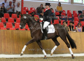 Foto-Archiv