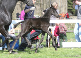 Foto-Archiv