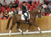 Foto-Archiv