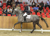 Foto-Archiv