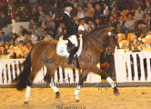 Foto-Archiv