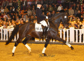 Foto-Archiv