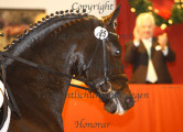 Foto-Archiv