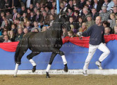Foto-Archiv