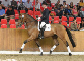 Foto-Archiv