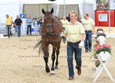 Foto-Archiv