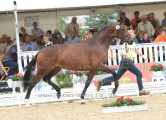 Foto-Archiv