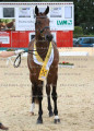 Foto-Archiv