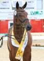 Foto-Archiv