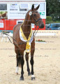 Foto-Archiv