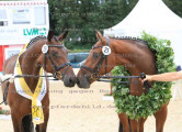 Foto-Archiv