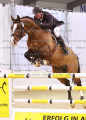 Foto-Archiv