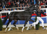 Foto-Archiv