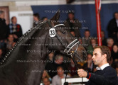 Foto-Archiv