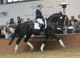 Foto-Archiv