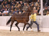 Foto-Archiv
