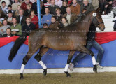 Foto-Archiv