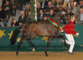 Foto-Archiv