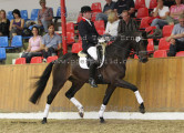 Foto-Archiv