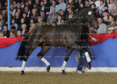 Foto-Archiv