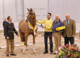Foto-Archiv