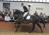 Foto-Archiv