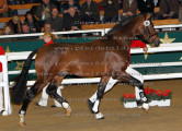 Foto-Archiv