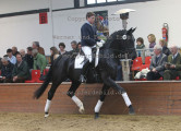Foto-Archiv