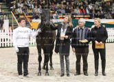 Foto-Archiv