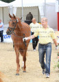 Foto-Archiv