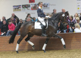 Foto-Archiv