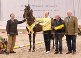 Foto-Archiv