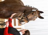 Foto-Archiv