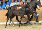 Foto-Archiv
