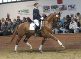 Foto-Archiv