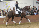 Foto-Archiv