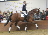 Foto-Archiv