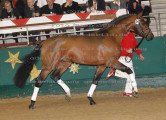 Foto-Archiv