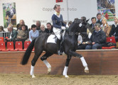 Foto-Archiv